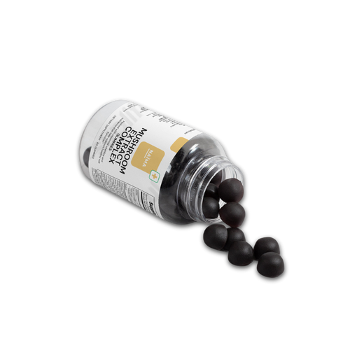 Mushroom Extract Complex